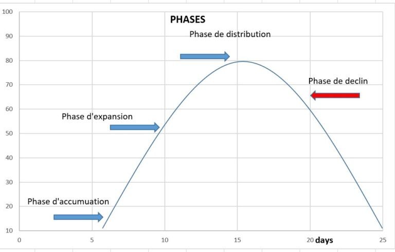 Phases de cycles