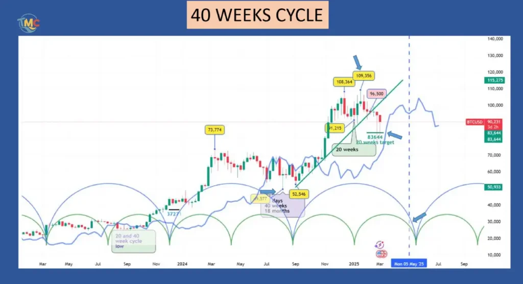 Bitcoin Market,tradingmarketcycles,40 Weeks